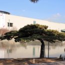 국립중앙박물관 이미지