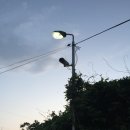 장흥마을회관 이미지