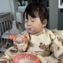 이유식 기록 4 : 후기 이유식/분리수유 스케줄/11개월 밥태기 극복/완료기 유아식 넘어가기