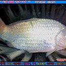 삼방낚시터 이미지