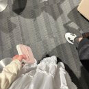 후쿠오카 여행만 n번째, 혼자서도 잘 노는 계획 없는 여행 ✈️ (+일본 여행 꿀팁)