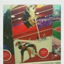 세인트루이스 애견 이미지