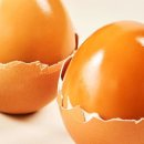 대한맥반석 이미지