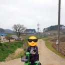 왜관의료기