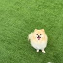 견우재 이미지