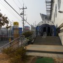 하사촌1 네이버블로그
