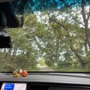 남부농원 | 김포 봉바위농원 캠핑장 나3 사이트 후기