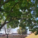 더락시 노래연습장 이미지