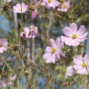 기로회경로당 이미지