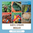 통합미술 다루기 이미지