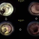 유기화동물의료센터 이미지