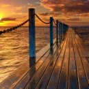 Ann Margret - What Am I Supposed To Do 이미지