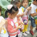 청주YWCA어린이집 이미지