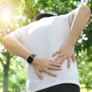 이런 운동, ‘허리’에 최악…통증 완화 방법은? 이미지