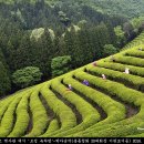 창덕여자고등학교 이미지