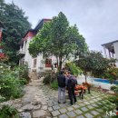 스테이자유 이미지