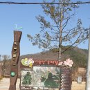 비슬산둘레길 11구간 이미지