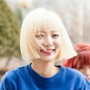 금손 Daum카페