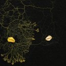 대화고등학교 이미지