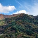남산 Daum카페
