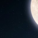 관악본튼튼의원 네이버블로그
