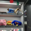 포토그레이신당점