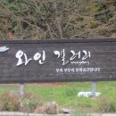와인갤러리 이미지