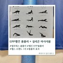 스트레칭 요가&폼룰러 | 멜킨 epp폼롤러 90cm 1000g 필라테스 폼룰러로 전신운동 하는 법 실리콘볼 마사지까지 후기