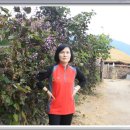 순천만여행 이미지