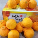 나영농장 이미지