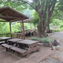 통나무 민박 이미지