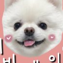 제리식탁 이미지