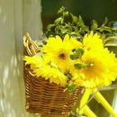 삼거마을회관 이미지