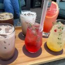 햇살농원 애견 이미지