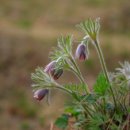 꽃향기머무는집 이미지