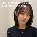237디자인 네이버블로그