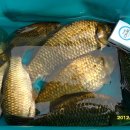 장천보양탕 이미지