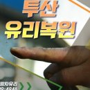 팡팡차유리
