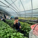 빛날태권도장 이미지