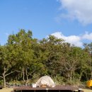 교래자연휴양림야영장 이미지