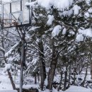 리버밸리 펜션 | 강원도 홍천 가볼만한 곳｜리버벨리펜션 숙소 후기