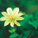 산촌사랑 이미지