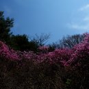 진양화원 - 종로구 종로5길 68 | 진양화원