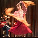 퓨전 플라멩코 옴팡 이미지