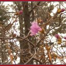 용정한의원 이미지