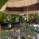 중앙하이츠마레115호 | 안산 시화호뷰 야자수 브런치 베이커리카페- 브런치 맛집 인정 솔직후기
