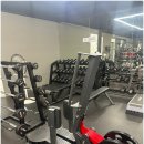 어시스트 짐 이미지