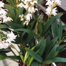 아델라농장 이미지