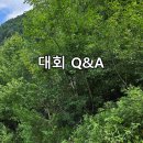 광명시체육회 | 가성비 10월 가을 마라톤! 2026 광명 평화 마라톤대회 접수 일정