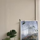 카페살뤼 이미지